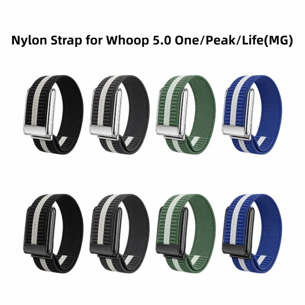 조절 가능한 탄성 손목 밴드 교체용 통기성 나일론 스포 - Sweat Band Wrist 리뷰 및 가격