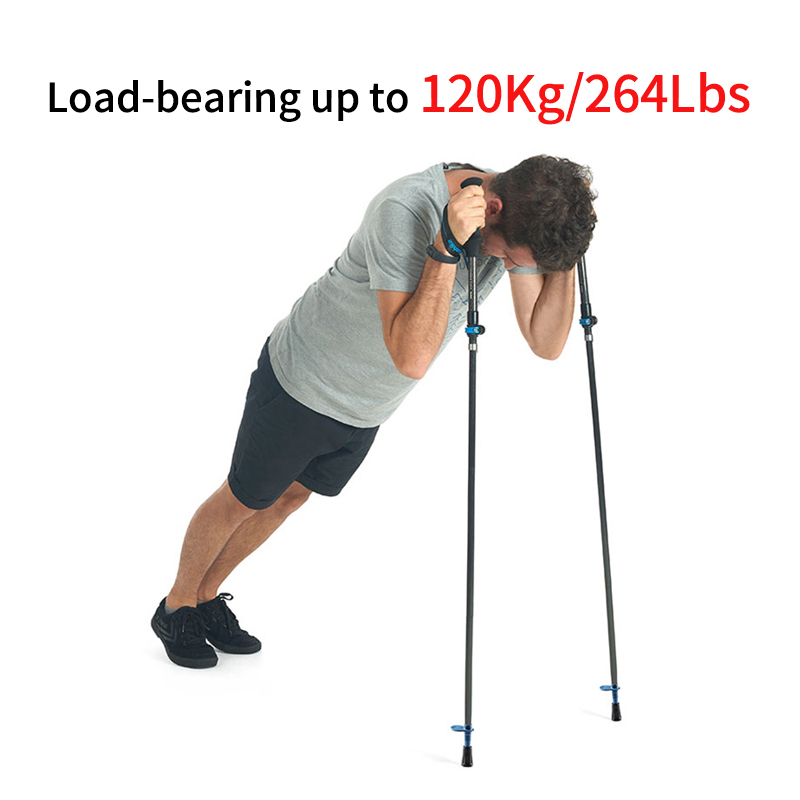 네이처하이크 캠핑 워킹 스틱, 초경량 고하중, 전체 탄 - Trekking Pole Carbon 리뷰 및 가격
