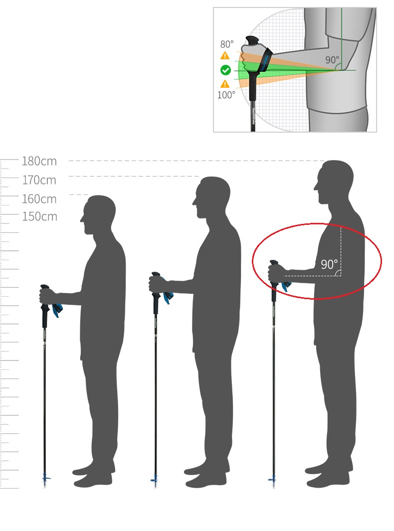 PIONEER 탄소 섬유 트레킹 워킹 폴 캠핑 등산 스 - Trekking Pole Carbon 리뷰 및 가격