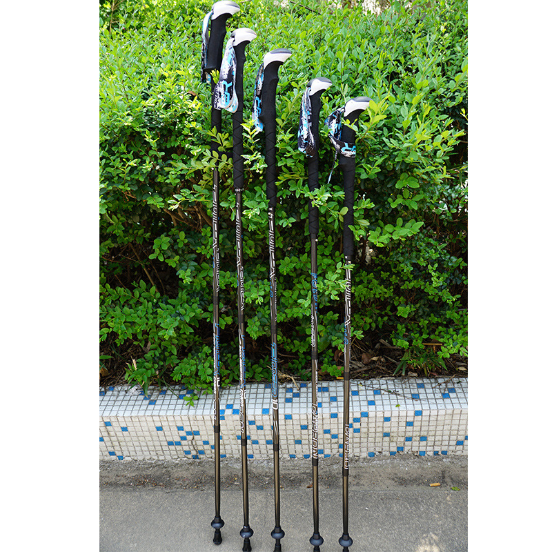 PIONEER 탄소 섬유 트레킹 워킹 폴 캠핑 등산 스 - Trekking Pole Carbon 리뷰 및 가격